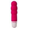 Control - Velvet Secret Mini Stimulator