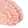 Afbeelding van XTC Japan – Brain Hacker DX Masturbator – Peach