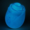 Romp Rose Glow Suction Tool Glow in the Dark