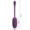 Pretty Love — Casper Purple Rechargeable Vibrating Egg