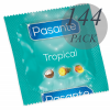 Pasante Tropical Exotic Flavored Condoms 144pk