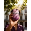 Afbeelding van SVAKOM - Klitty Clitorisstimulator - Dusty Lavender