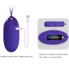 Pretty Love Berger Violet Vibrating Egg Remote Control