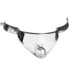 Restraint Collar With Ring And Padlock 12.5 Cm