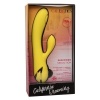 Calexotics San Diego Seduction Vibrator