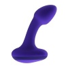 Afbeelding van Evolved Novelties - Anybody's Plug - Paars