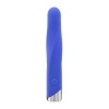 Afbeelding van Evolved - Twisted Temptation Bullet Vibrator - 12 cm