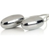 CalExotics Vibrating Bullets Silver Duo