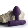Rocks-Off Nova Astryx Anal Plug 16 Function Purple