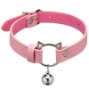 Afbeelding van Master Series - Kitty Bondage Set - Roze