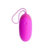Pretty Love Egg Berger Remote Control 12V