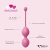Afbeelding van FeelzToys - FemmeFit Bekkenspier Training Set 3 st