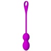 Pretty Love Elvira Purple Rechargeable Vibrating Balls