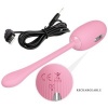 Pretty Love Doreen Pink Vibrating Egg Dual Cord