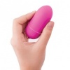 B Swish Bnaughty Unleashed Pink Remote