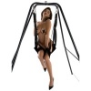Hidden Desire Extreme Lovers Swing with Stand
