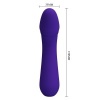 Pretty Love Cetus Rechargeable Vibrator Purple