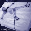 CALEXOTICS Nocturnal Bed Restraints Leather Adjustable Black