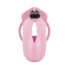 Afbeelding van LOCKDOWN - Chastity Cage Medium - Pink