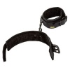 CalExotics Boundless Ankle Cuffs