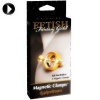 PIPEDREAMS Fetish Fantasy Gold Magnetic Clamps