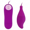 Baile - Pleasure Shell12 Purple Edition