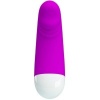 Pretty Love Luther Mini Vibrator 30 Modes