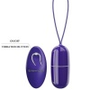 Pretty Love Arvin Violet Vibrating Egg Remote Control