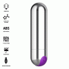 Intense Karen Mini Rechargeable Bullet Silver
