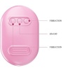 Pretty Love — Fun Box Pink Vibrating Bullet