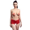 Chilirose CR 4641 Open-Crotch Panties Red S/M