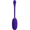 Pretty Love — Kirk Rechargeable Vibrating Egg Purple