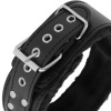 Darkness Titanium Chain Collar with Leash