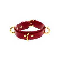 Taboom Bondage in Luxury D-Ring Collar Deluxe | Rood