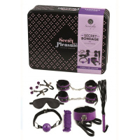 Secret Play Bondage Kit Two Colours | Paars