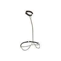 CalExotics Euphoria Collection Chain Halter/Collar & Leash | Zwart