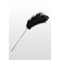 Taboom Bondage Essentials Feather Tickler | Zwart
