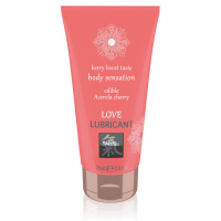 HOT Shiatsu Love Lubricant Edible | Kers
