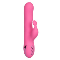 CalExotics California Dreaming Santa Barbara Surfer | Roze