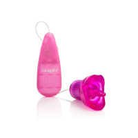 CalExotics Clit Kisser - Boxed | Roze