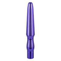CalExotics Rechargeable Anal Probe | Paars