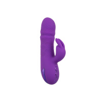 CalExotics California Dreaming Manhattan Beach Marvel | Paars