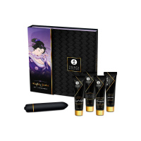 Shunga Naughty Geisha Kit with Toy | Naturel