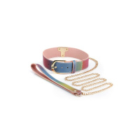 NS Novelties Spectra Bondage Collar & Leash | Regenboog