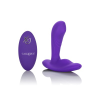 CalExotics Silicone Remote Pinpoint Pleaser | Paars