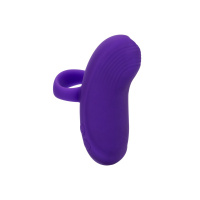 CalExotics Envy Handheld Rolling Ball Massager | Paars