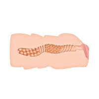 Evolved - Tori Black Masturbator