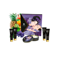 Shunga Geisha's Secrets Set | Exotisch
