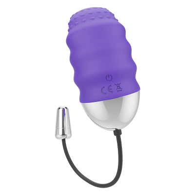 Mr Boss Denis Remote Control Egg Vibrator - image 4