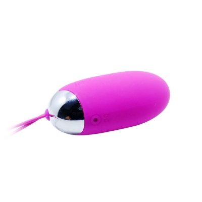 Pretty Love Egg Berger Remote Control 12V - image 4